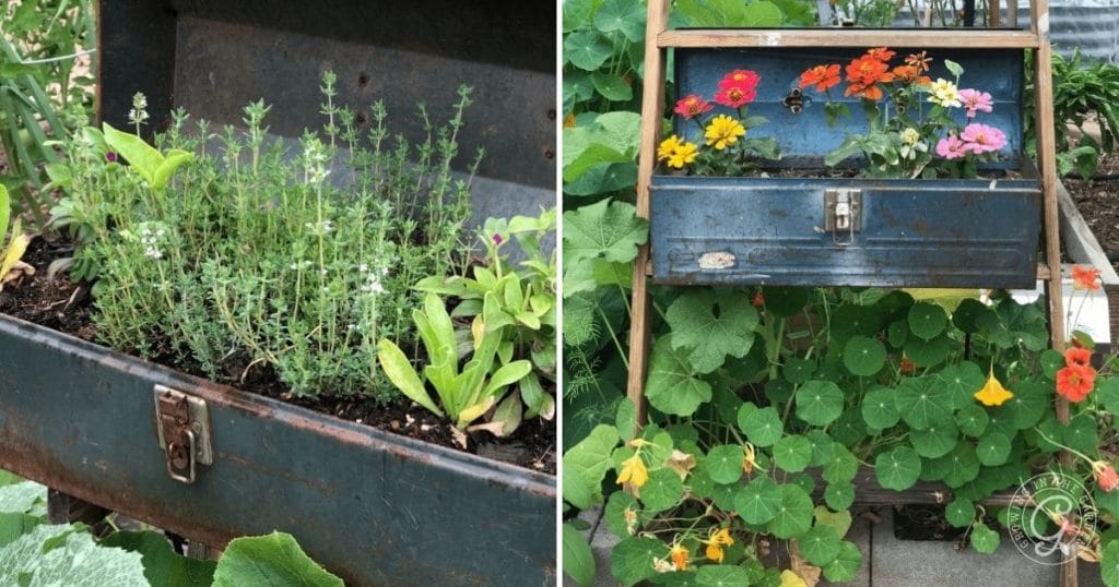 Use toolboxes for a container garden