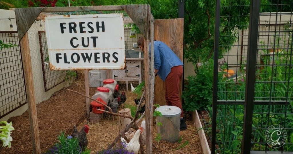 A person tends to chickens in a backyard garden behind a Fresh Cut Flowers sign, showcasing charming backyard garden design.