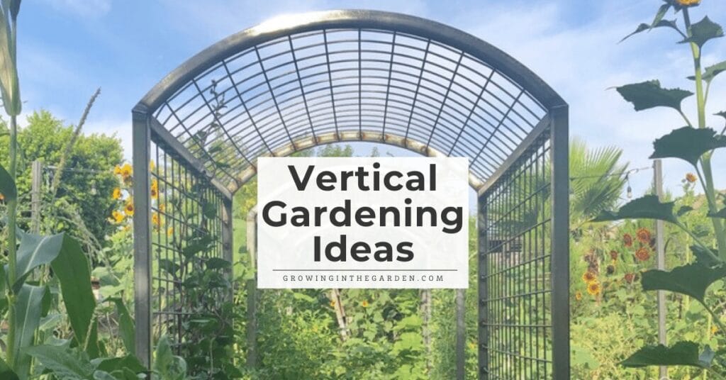 Vertical Gardening Ideas