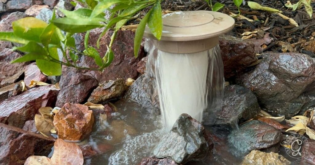 Water-Saving Techniques for Desert Gardening Success