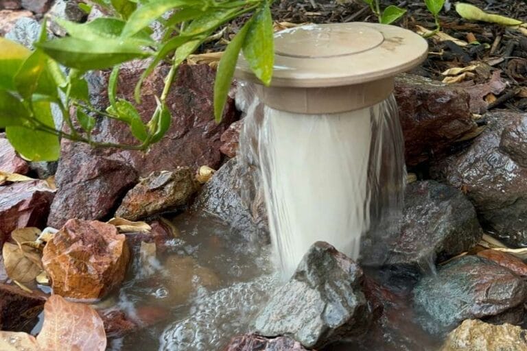 10 Water-Saving Tips for Desert Gardening featured image