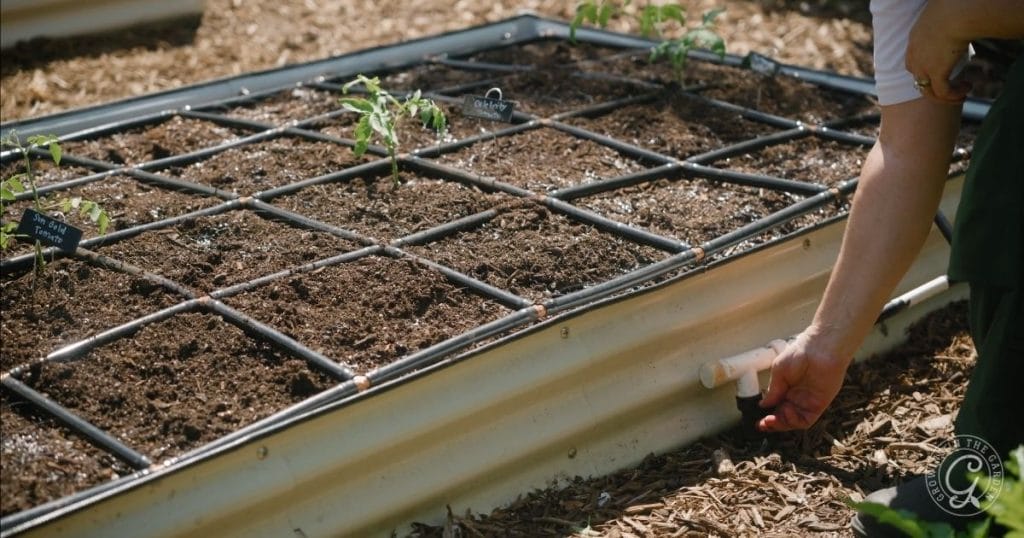 Watering correctly is essential when summer gardening