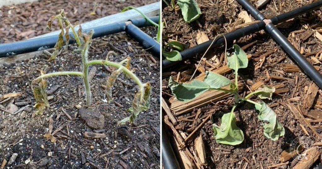 What Should I Do If the Weather Is Unpredictable