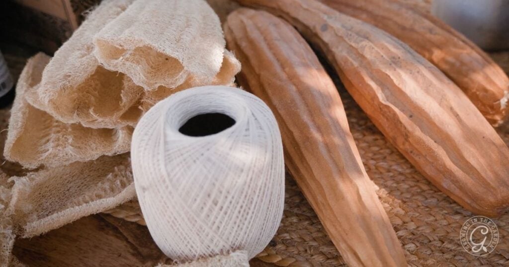 What to Do With Loofah (and How to Use It!)