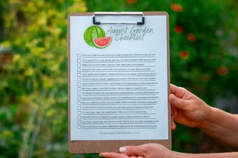 August Desert Gardening featured image