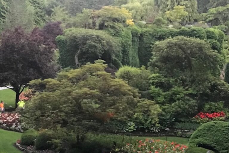 What’s Growing in the Butchart Gardens: A Gardener’s Paradise featured image