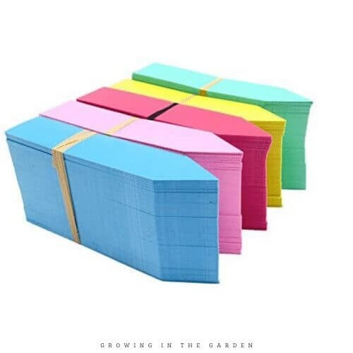 When & How to Pot Up Seedlings