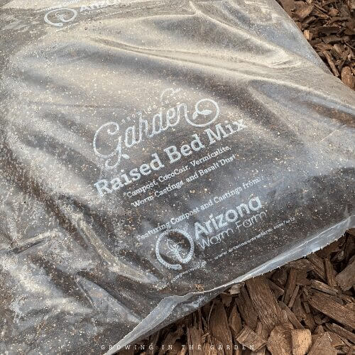 Growing in the garden raised bed mix