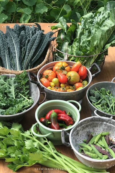 When to Plant Your Garden: How to Find a Planting Calendar for Your Area
The low desert of Arizona includes cities in and around Phoenix, including Glendale, Scottsdale, Paradise Valley, Mesa, Tempe, Chandler, Gilbert, Peoria, Apache Junction, Buckeye, Fountain Hills, Tolleson, Surprise, Sun City, Queen Creek, and Goodyear.