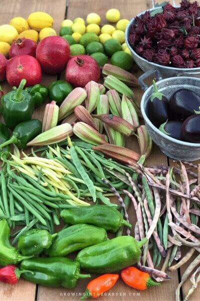 When to Plant Your Garden: How to Find a Planting Calendar for Your Area