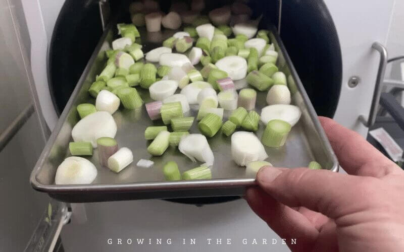 Freeze drying onions