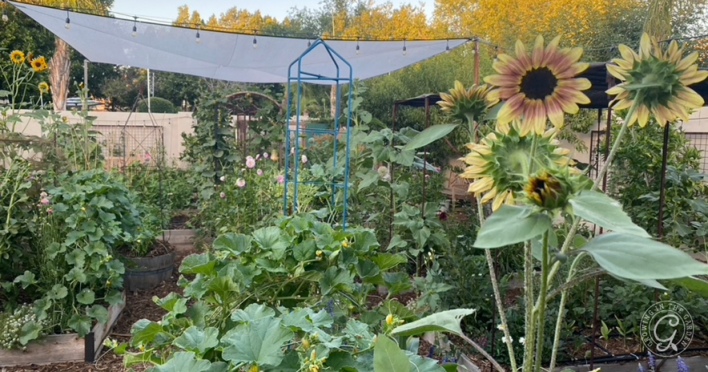 How to Create Shade in the Garden