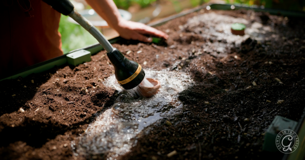 A person waters soil in an elevated garden bed using a hose sprayer, preparing the area for planting—an ideal method for gardening in hot climates.