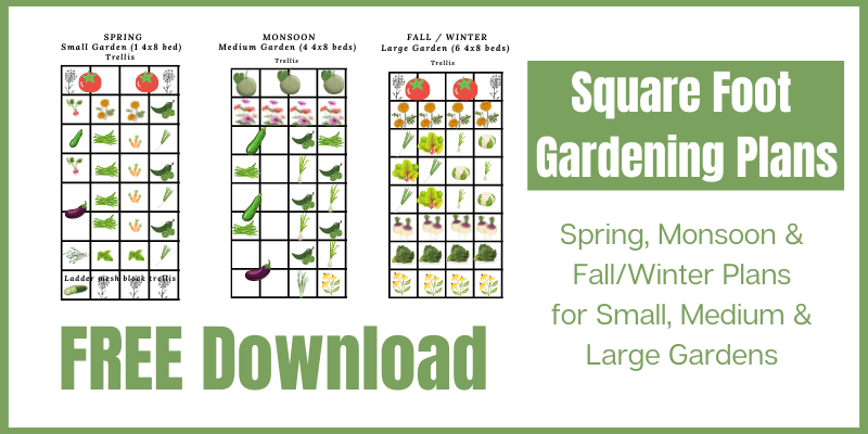 Square Foot 
Gardening Plans 
Spring, Monsoon & Fall/Winter Plans for Small, Medium & Large Gardens 