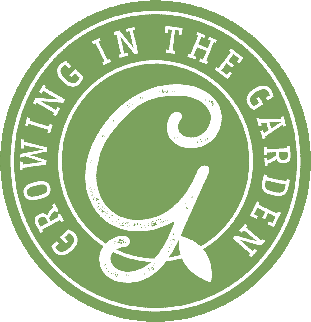 GITG Circle Logo