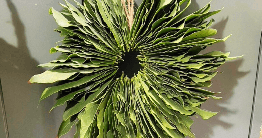 How to Make a Beautiful and Fragrant Bay Leaf Wreath