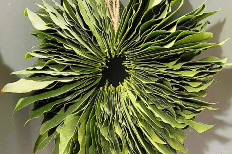 How to Make a Bay Laurel Wreath (Bay Leaf Wreath DIY) featured image