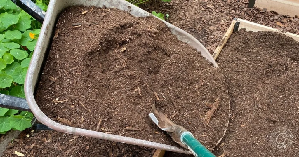 A wheelbarrow filled with soil and a garden trowel resting on top, illustrating how to fill raised garden beds in a lush garden setting.