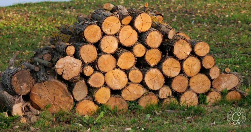 A stack of cut tree logs piled on grass with leaves scattered around, offering a natural touch and inspiration for those learning how to fill raised garden beds sustainably.