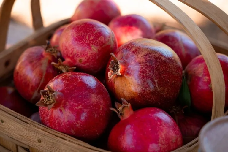 How to Grow Pomegranates: Planting, Care, and Harvest Tips featured image