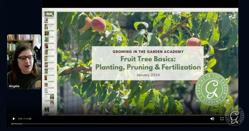 A webinar screen showing Fruit Tree Basics: Planting, Pruning & Fertilization with a speaker and peach tree, presented by Growing in the Garden Academy.