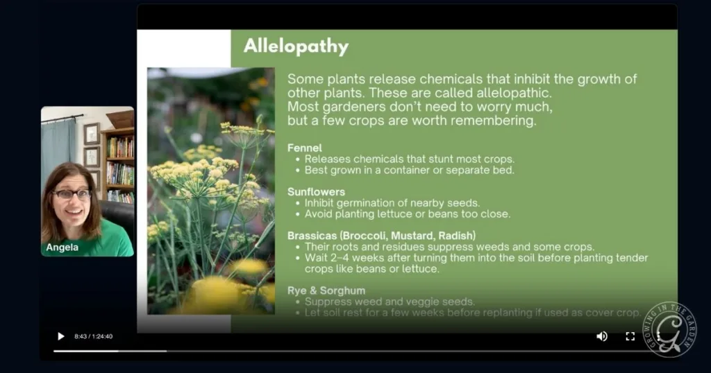 A presentation slide on allelopathy from Growing in the Garden Academy, featuring text, a photo of yellow flowers, and a woman labeled Angela speaking.