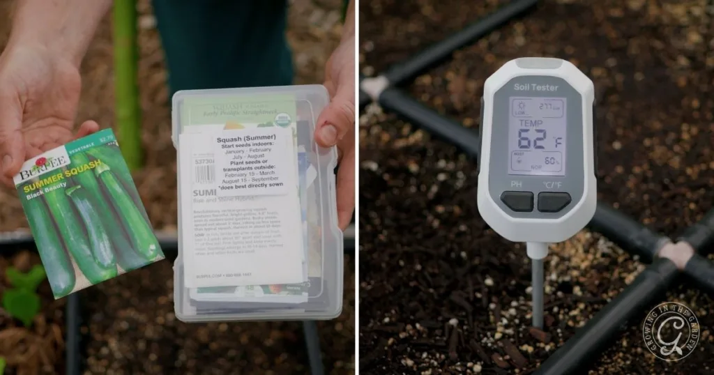 Left: Hand holding squash seeds; right: soil thermometer shows 62°F in garden soil with drip irrigation—key details when learning how to grow summer squash.